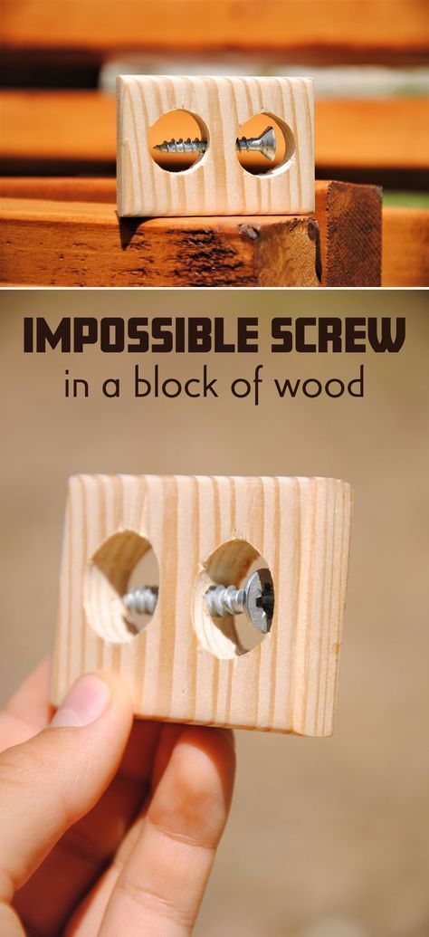 Impossible Screw in a Block of Wood